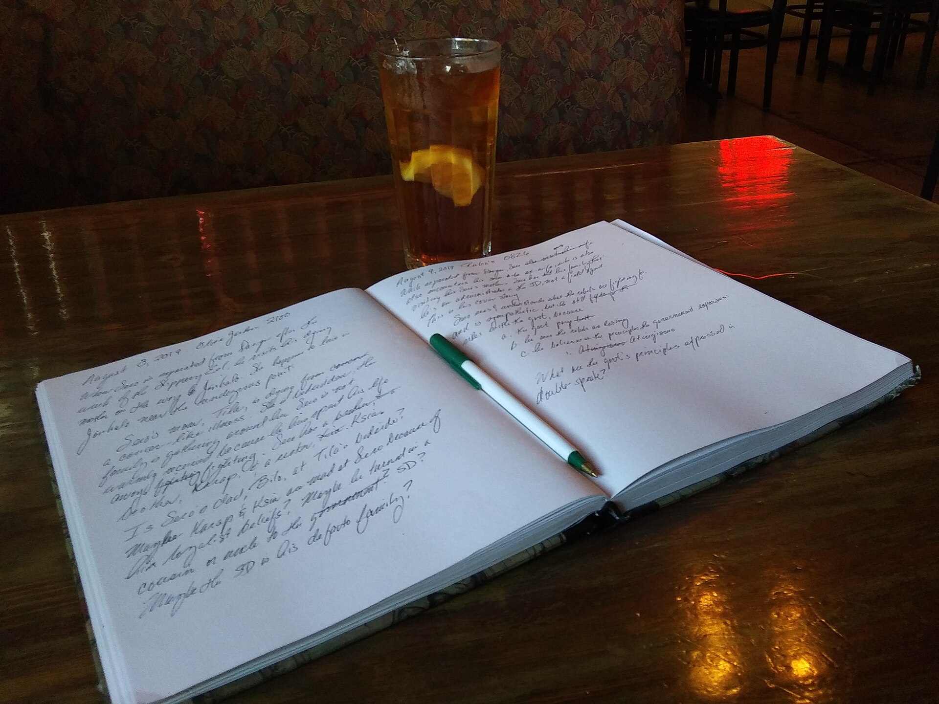 Notebook with pen, August, 2019.jpg
