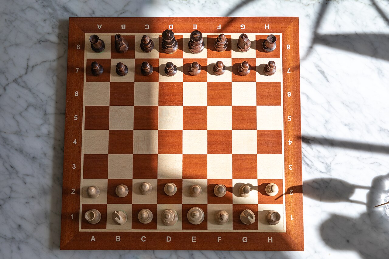 Chess pieces organised.jpg